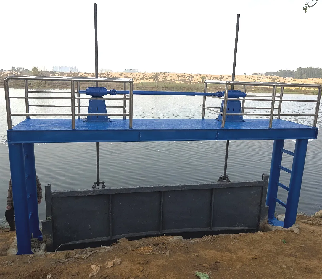 Hydraulic engineering gate hoist