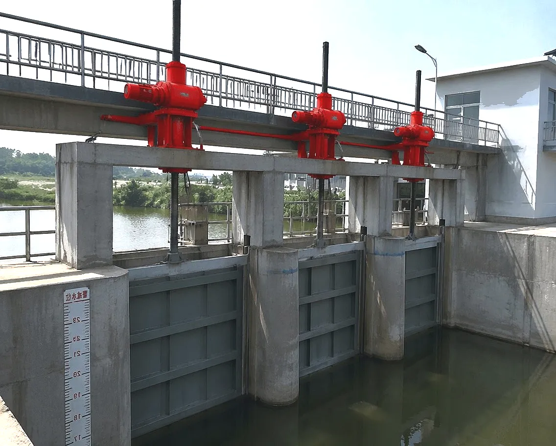 Hydraulic engineering gate hoist